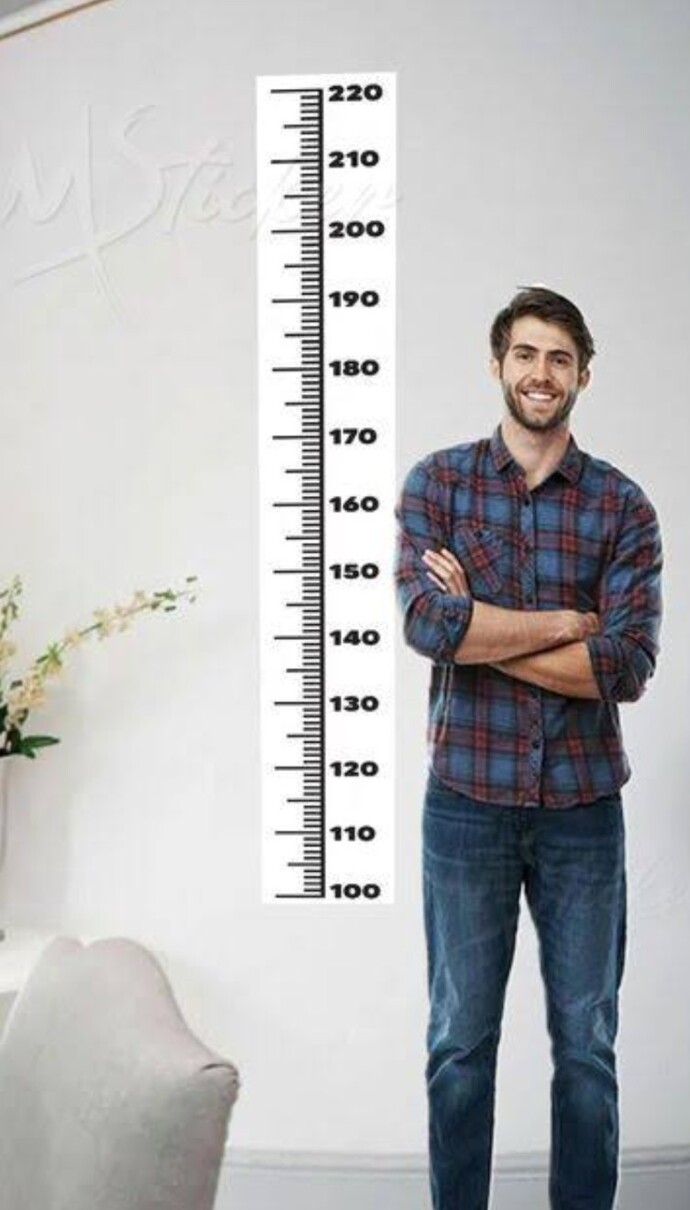 İdeal erkek boyu sizce kaç cm olmalı, 170 mi 180 mi 190 mı 210 mu?