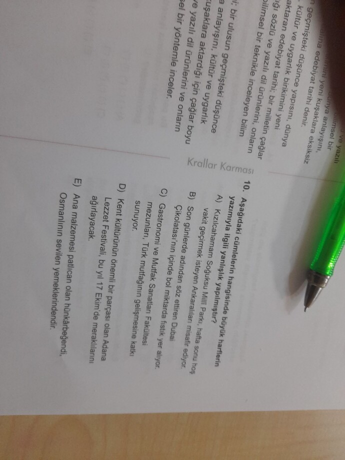 Dil bilgisi yaparmisiniz?