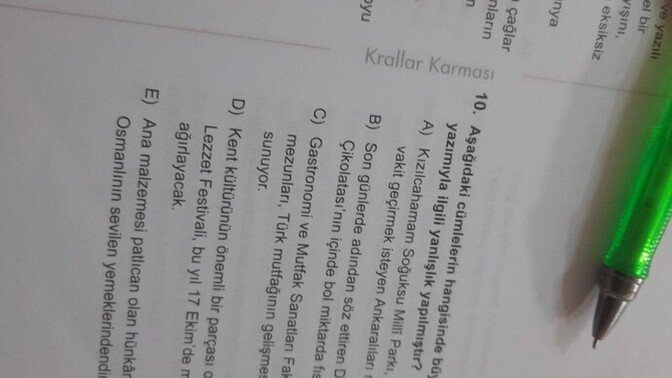 Dil bilgisi yaparmisiniz?