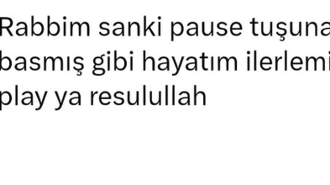 Hayatınızın şu an hangi dönemindesiniz?