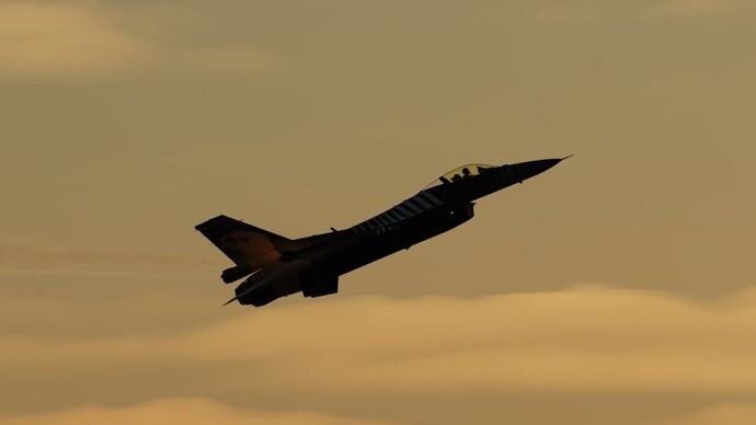 F35 savaş uçağı kullanabilir misiniz?