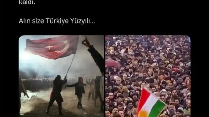 Neden her yerde bu kadar fazla kedi köpek görmeye başladık, sebebi ne olabilir?