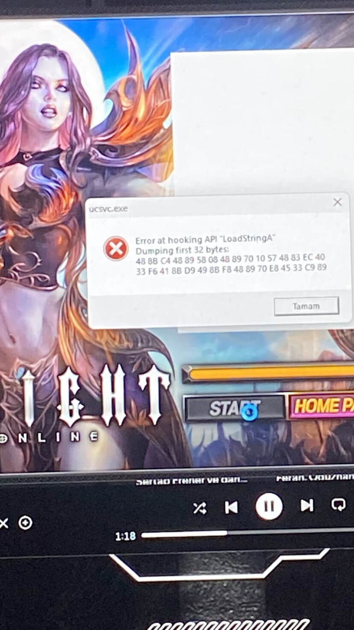 Error at Hooking API hatası neden olur, nasıl çözebilirim?