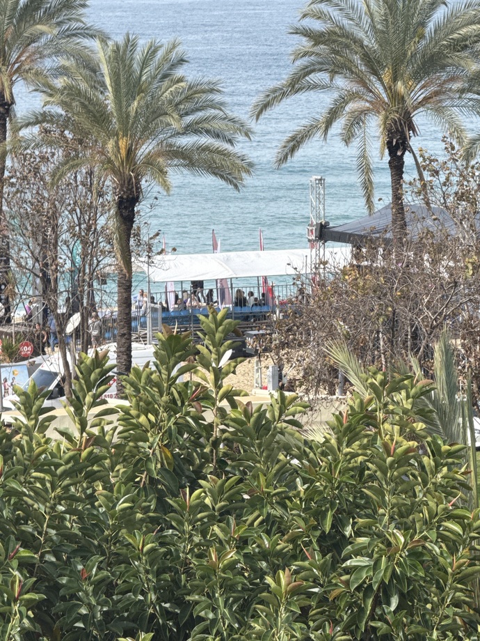 Kimler tatil sabahı erkenden uyanıyor?