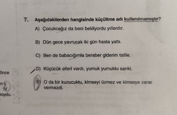 Türkçe dilbilgisinde topluluk adı ve küçültme eki soruları hatalı mı, doğru çözüm nasıl olmalı?