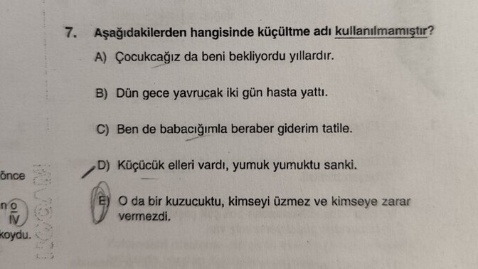 Türkçe dilbilgisinde topluluk adı ve küçültme eki soruları hatalı mı, doğru çözüm nasıl olmalı?