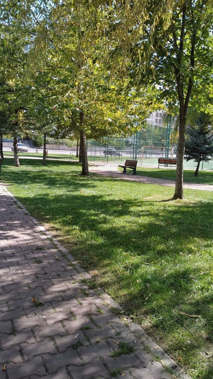 Hala bir çocuk parkında oyun oynamayı sever misiniz, yoksa sadece uzaktan izleyenlerden misiniz?