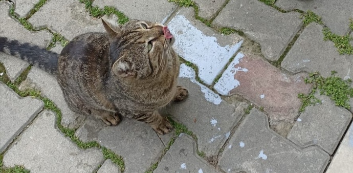 Bugün küçük bir sürprizle günüm güzelleşti 🌸 sizi en son ne gülümsetti?