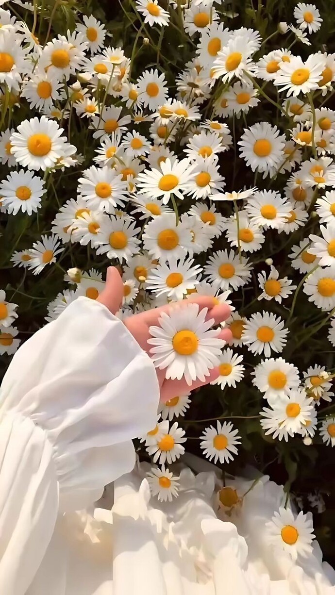 Bir çiçeğiniz var mı?