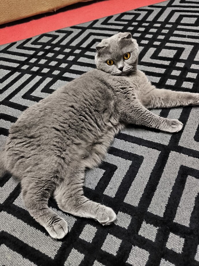 Bir çiçeğiniz var mı?