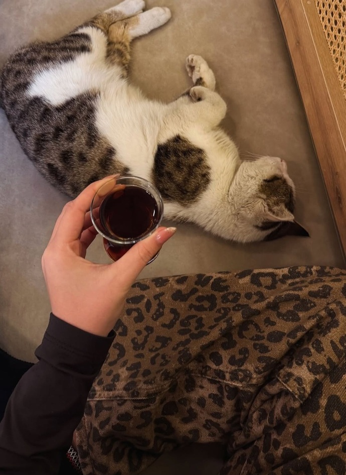 Çayım ve bu pasaklı kedi eşliğin de soru cevap yapalım mı?