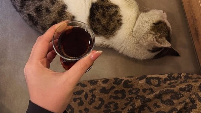 Çayım ve bu pasaklı kedi eşliğin de soru cevap yapalım mı?
