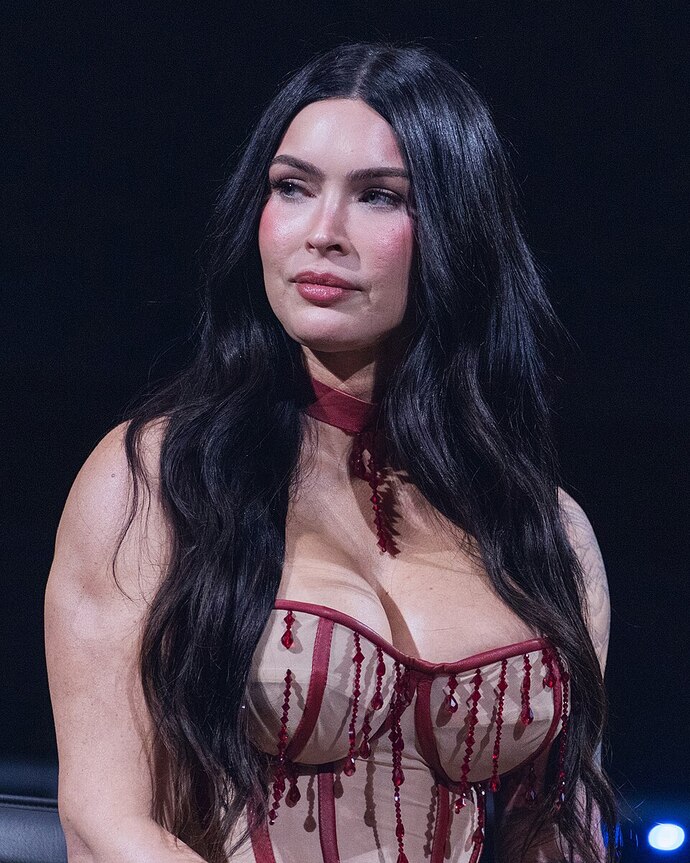 Megan Foxa ne olmuş lan baba?