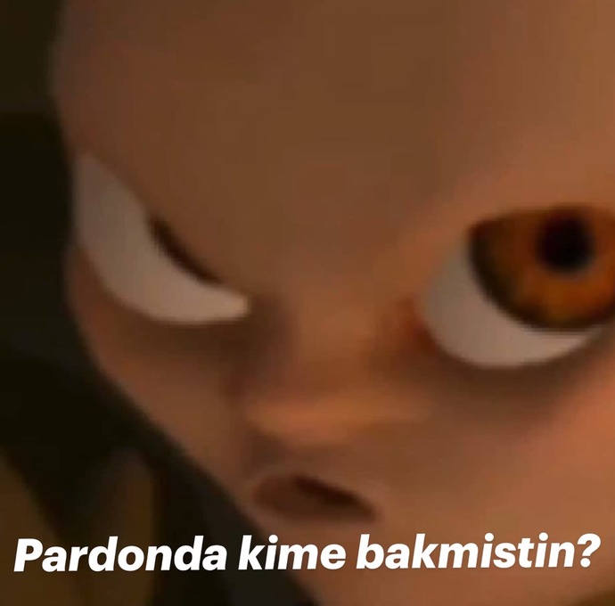 Şekil-1