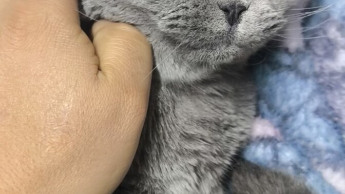 Sevgisinden şüphe etmediğiniz biri var mı?