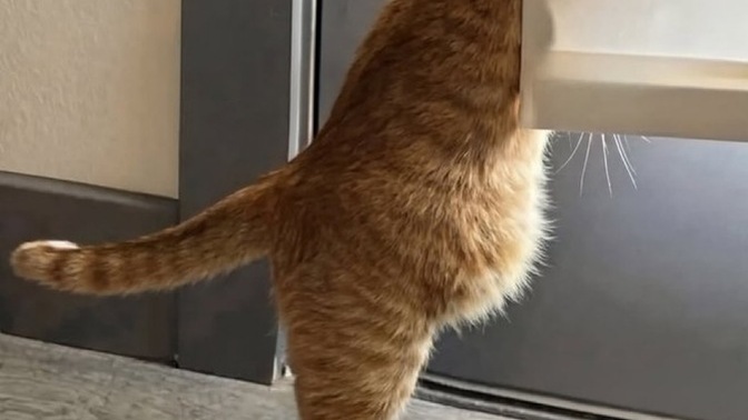 Mizah anlayışınızın uyuşmadığı biriyle olur mu?