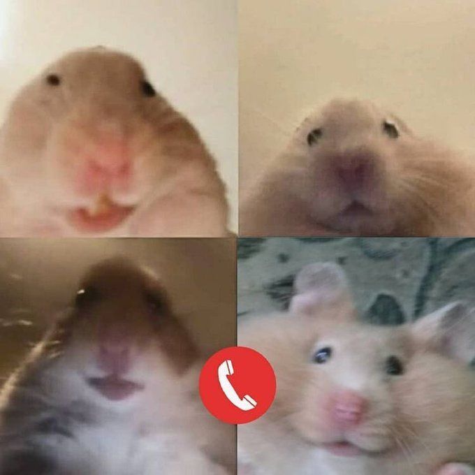 Görüntülü konuşmayı sever misiniz?