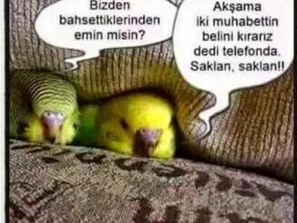 Sitede takip isteği kabul edilmiyosa neden ısrarla tekrar atılıyor?