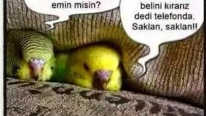Sitede takip isteği kabul edilmiyosa neden ısrarla tekrar atılıyor?