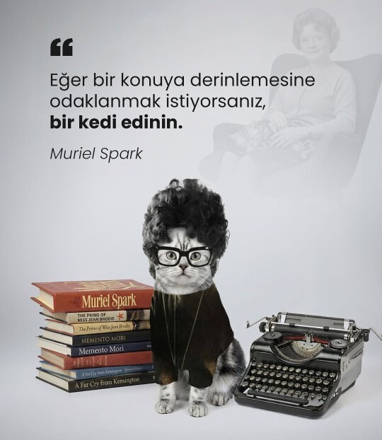 Kedimin dökülen tüylerinden kendime yastık yapsam mı?