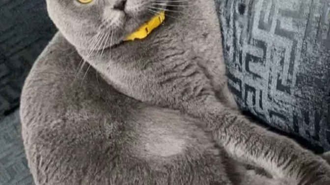 Kendinizi 3 kelimeyle eleştirseniz ne derdiniz?