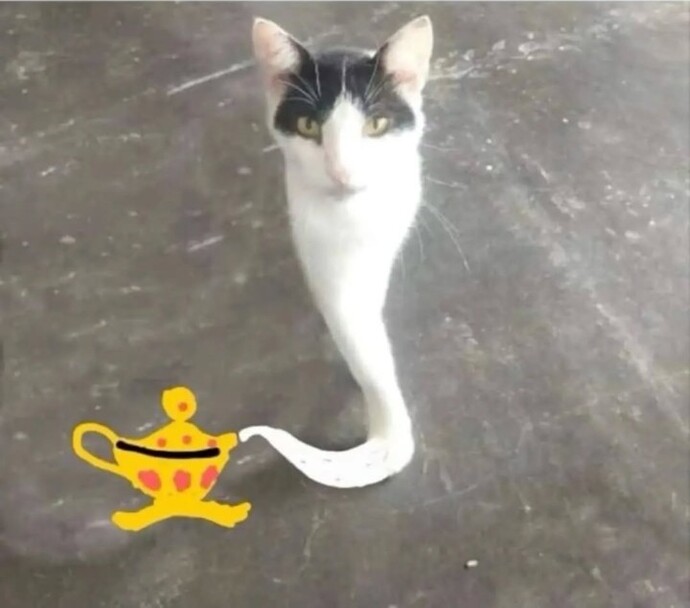 3 dilek hakkın olsa neleri dilerdin?