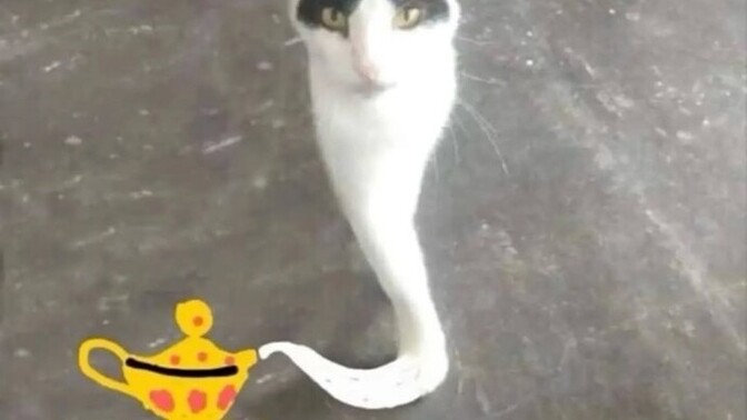 3 dilek hakkın olsa neleri dilerdin?
