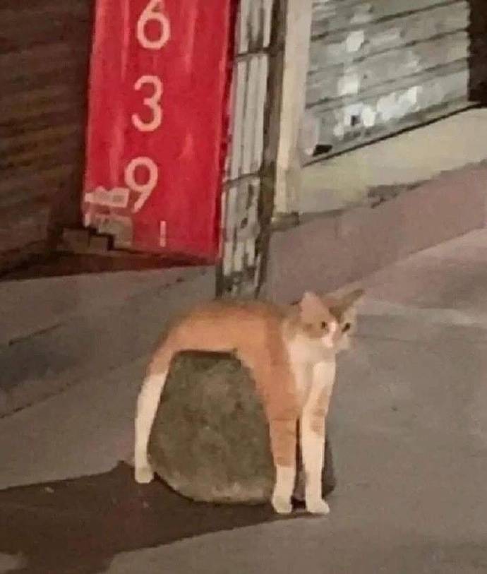 10 milyon TL’n olsa ama sadece 1 saatin olsa ne satın alırdın?