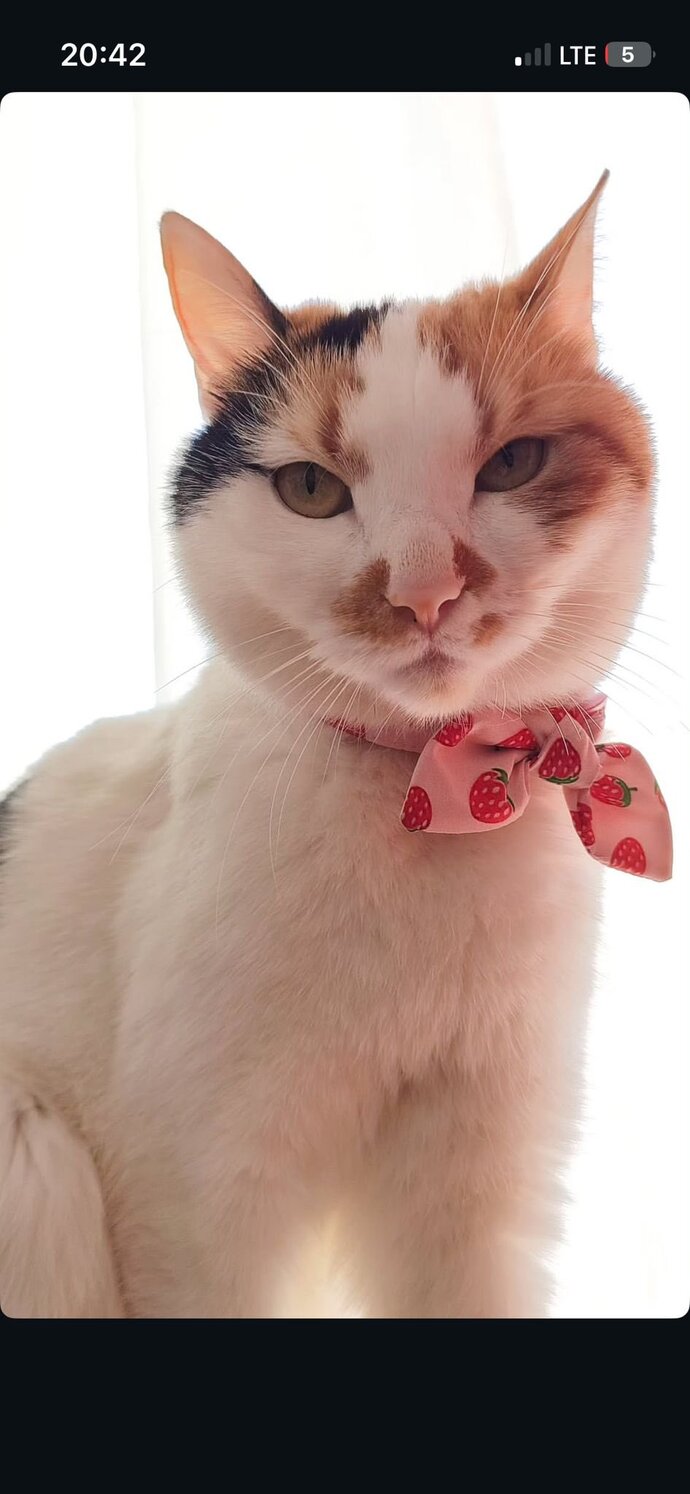 Bir insan hem çok sevip hem de aldatabilir mi, yoksa bu sadece bahane mi?