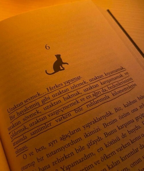Ne kadar imkansızsın sen, sana ulaşmak gerçekten bu kadar zor mu?