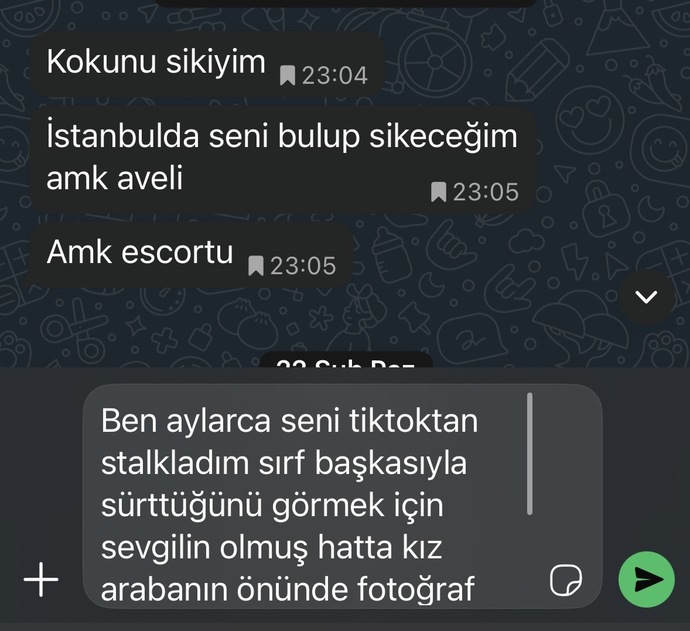 Eski sevgiliye böyle yazılir mi?