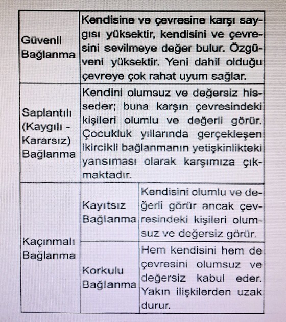 Dürüst ol, bunlardan hangisisin?