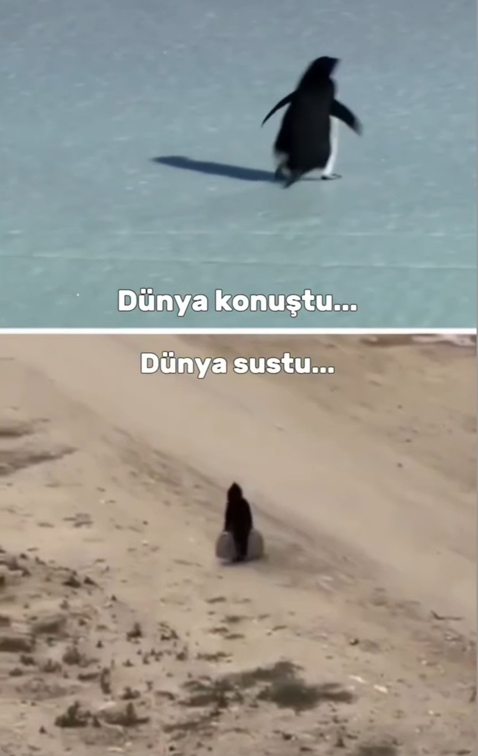 Farklı türlere gösterdiği hassasiyeti kendi türüne neden gösteremiyor bu İNSANLIK?
