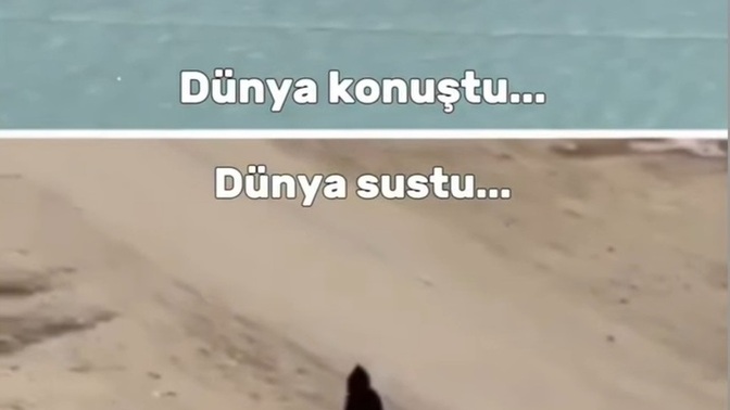 Farklı türlere gösterdiği hassasiyeti kendi türüne neden gösteremiyor bu İNSANLIK?