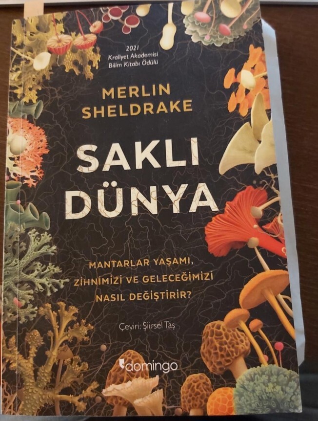 Duyduğunuz en garip isim neydi?
