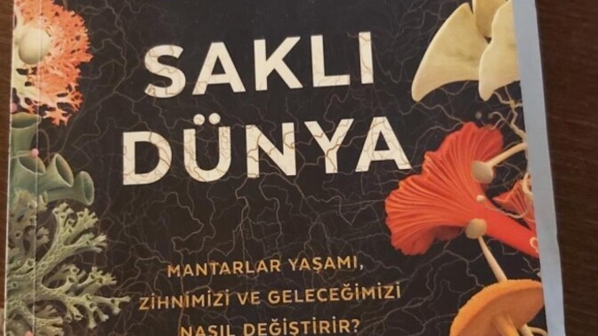 Duyduğunuz en garip isim neydi?