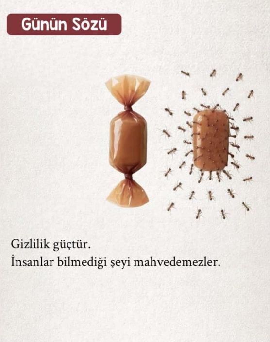 Genel olarak gizli biri misinizdir yoksa çok özel olmadıkça her şeyinizi anlatır mısınız?