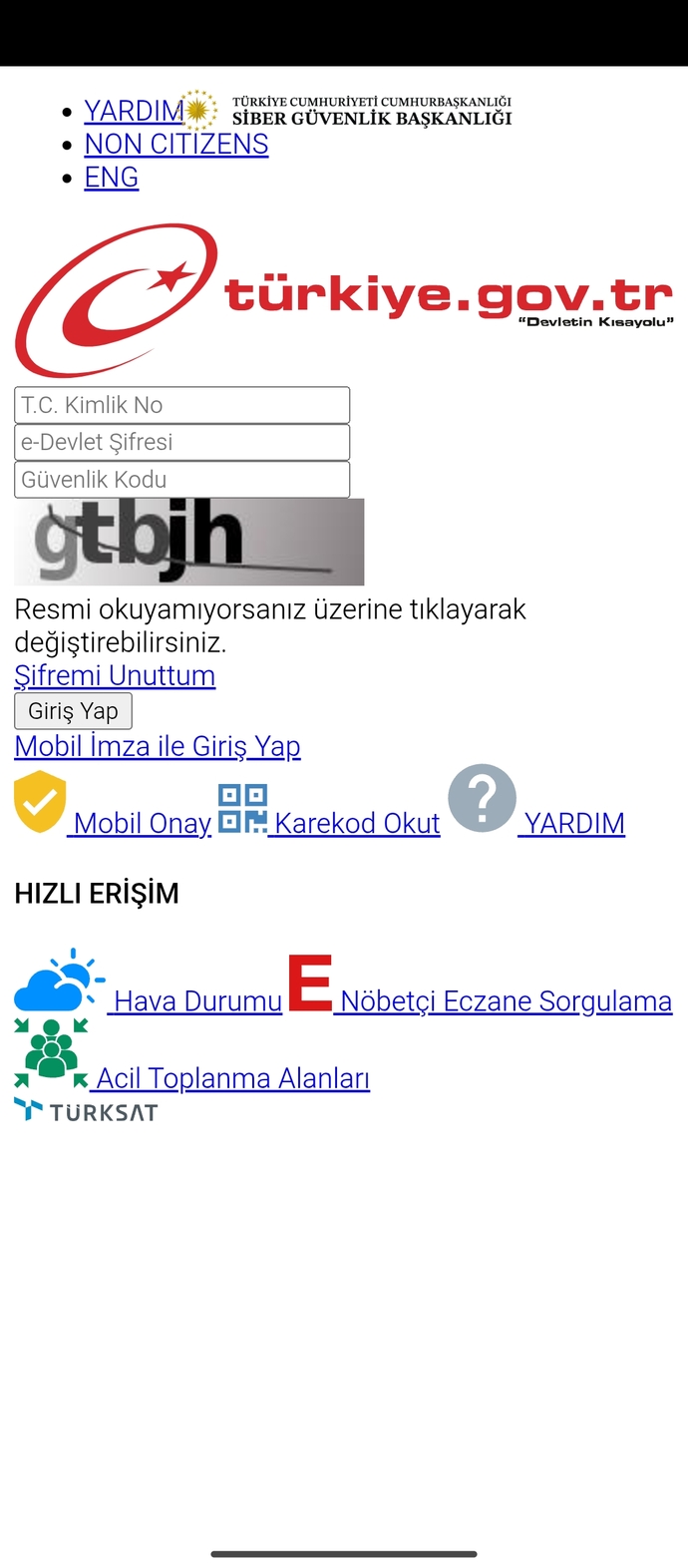 E devlet e neden öyle gözüküyor?