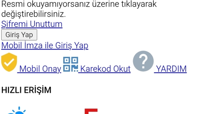 E devlet e neden öyle gözüküyor?