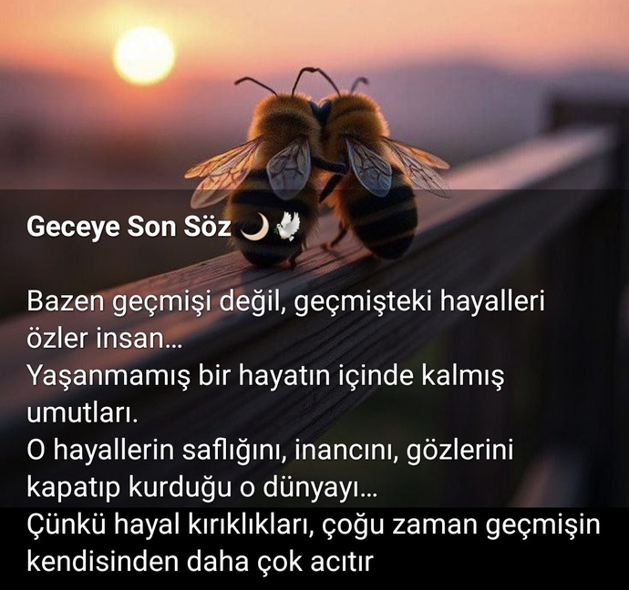 Geçmişteki hayalleriniz gerçekleşti mi, şimdi geriye dönüp pişmanlık duyuyor musunuz?