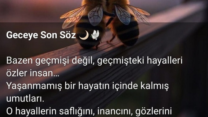 Geçmişteki hayalleriniz gerçekleşti mi, şimdi geriye dönüp pişmanlık duyuyor musunuz?