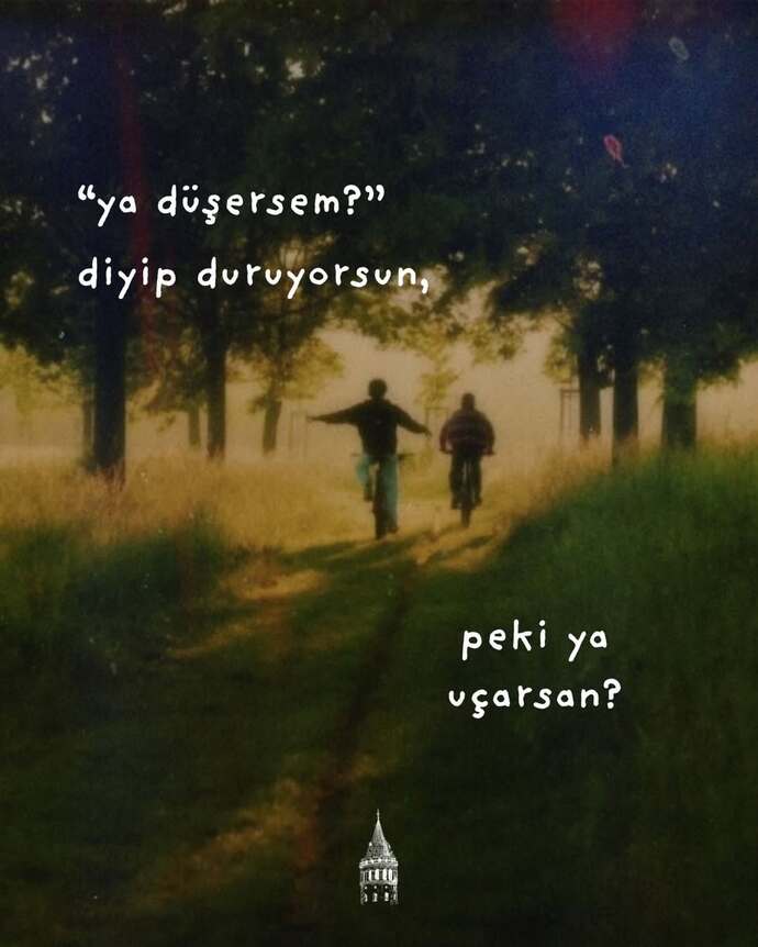 🦋