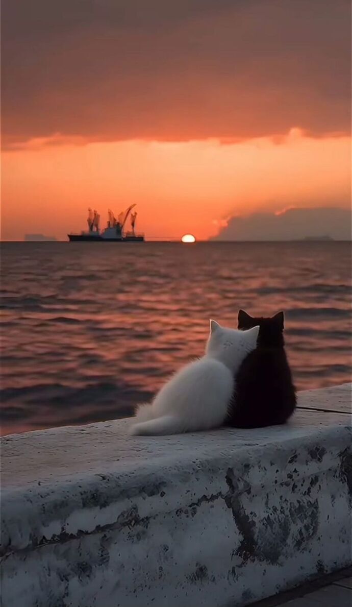 Seni hiç bırakmam diyenlere ne diyoruz?