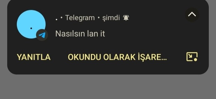 En son hangi mesajı aldınız?