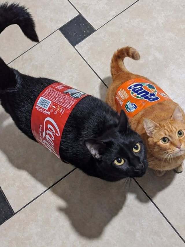 Kola mı fanta mı?