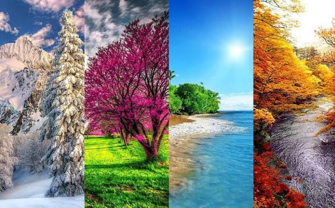 Hangi mevsimi daha çok seviyorsunuz ve hangisinin çabuk geçmesini istiyorsunuz?