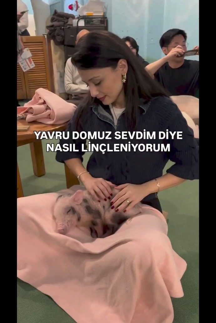 Yavru domuz sevmek günah mı, haram mı, sadece dokunmakla bile sorun olur mu?