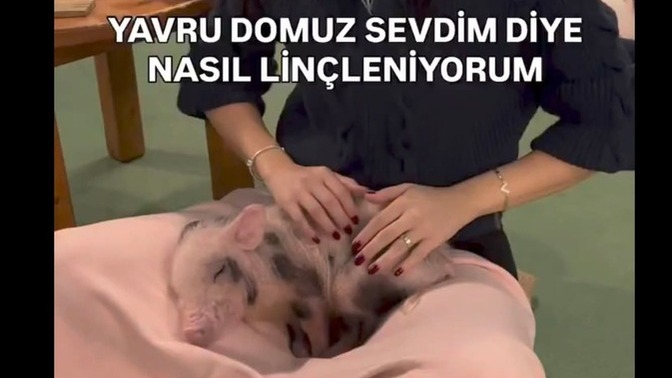 Yavru domuz sevmek günah mı, haram mı, sadece dokunmakla bile sorun olur mu?