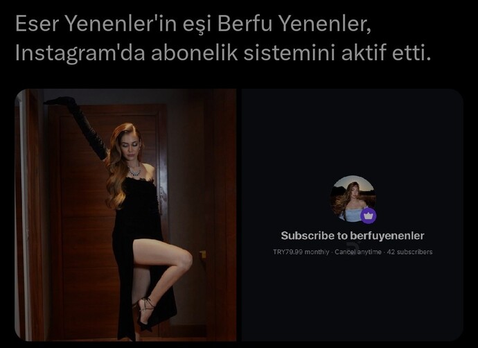 Bir insan abonelik sistemini ne için kullanır?