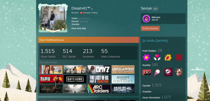 Steam profilim nasıl hangi oyunları oynuyorsunuz?